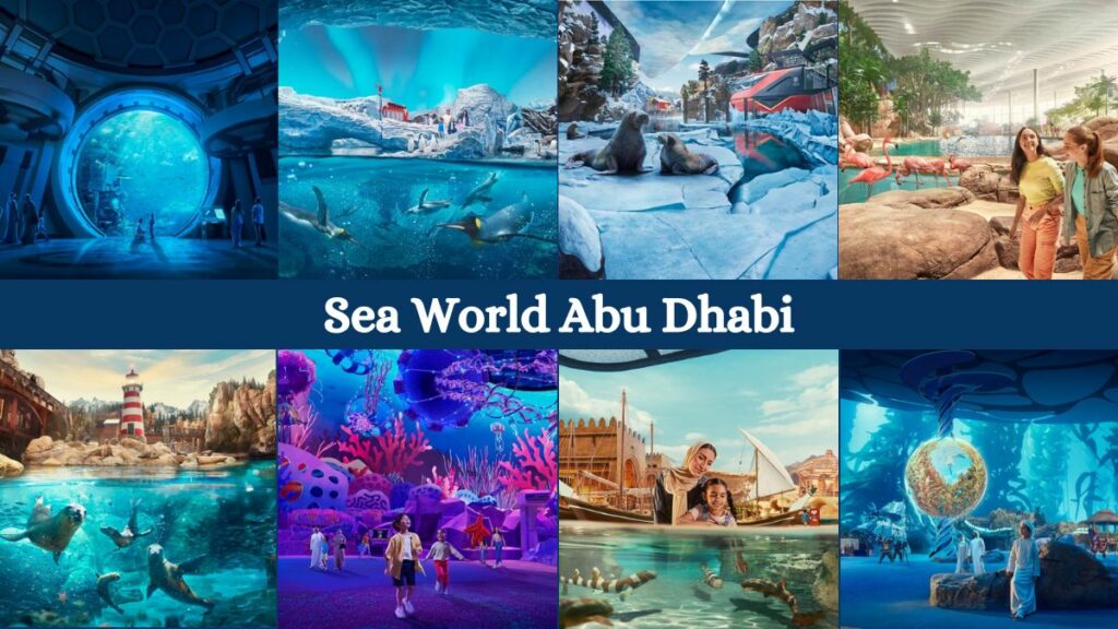 SeaWorld Abu Dhabi: A Spectacular Aquatic Adventure Just a Stone’s Throw from Dubai